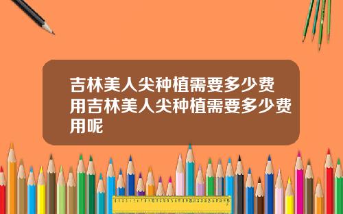 吉林美人尖种植需要多少费用吉林美人尖种植需要多少费用呢