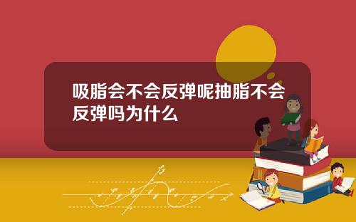 吸脂会不会反弹呢抽脂不会反弹吗为什么