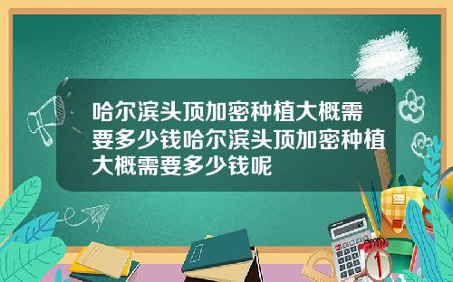 哈尔滨头顶加密种植大概需要多少钱哈尔滨头顶加密种植大概需要多少钱呢