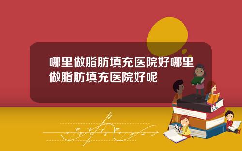 哪里做脂肪填充医院好哪里做脂肪填充医院好呢
