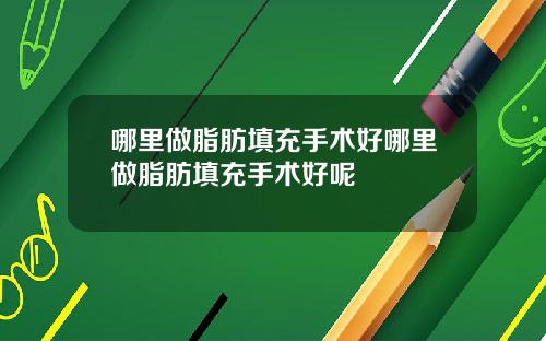 哪里做脂肪填充手术好哪里做脂肪填充手术好呢