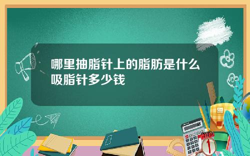 哪里抽脂针上的脂肪是什么吸脂针多少钱
