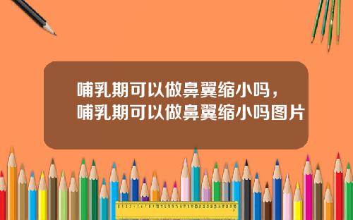 哺乳期可以做鼻翼缩小吗，哺乳期可以做鼻翼缩小吗图片