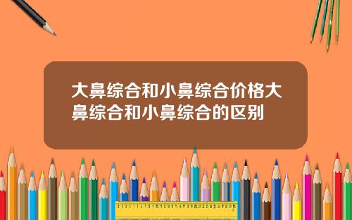 大鼻综合和小鼻综合价格大鼻综合和小鼻综合的区别