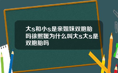 大s和小s是亲姐妹双胞胎吗徐熙媛为什么叫大s大s是双胞胎吗