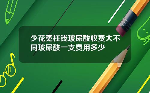 少花冤枉钱玻尿酸收费大不同玻尿酸一支费用多少