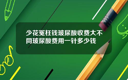 少花冤枉钱玻尿酸收费大不同玻尿酸费用一针多少钱