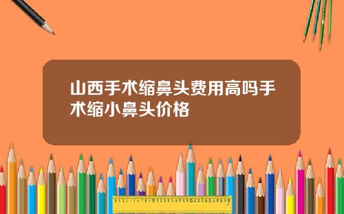 山西手术缩鼻头费用高吗手术缩小鼻头价格