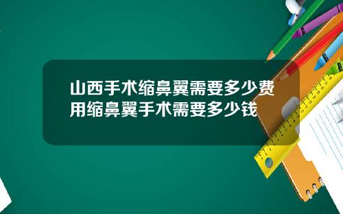 山西手术缩鼻翼需要多少费用缩鼻翼手术需要多少钱