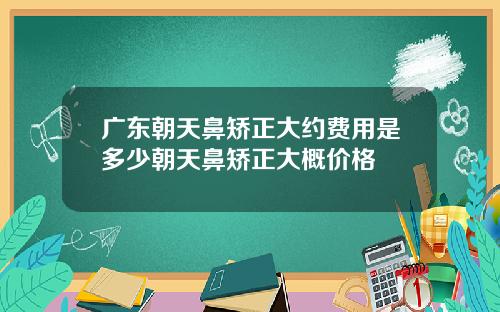 广东朝天鼻矫正大约费用是多少朝天鼻矫正大概价格