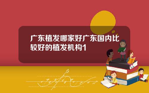 广东植发哪家好广东国内比较好的植发机构1