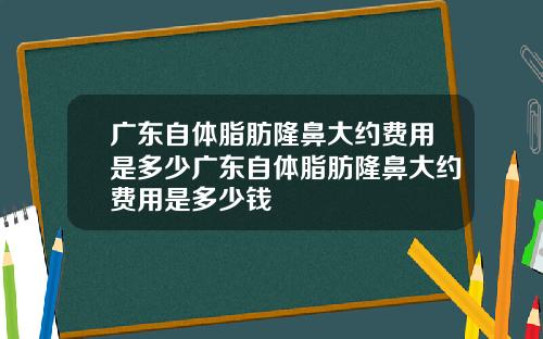 广东自体脂肪隆鼻大约费用是多少广东自体脂肪隆鼻大约费用是多少钱