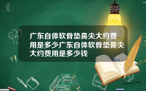广东自体软骨垫鼻尖大约费用是多少广东自体软骨垫鼻尖大约费用是多少钱