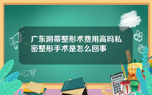广东阴蒂整形术费用高吗私密整形手术是怎么回事