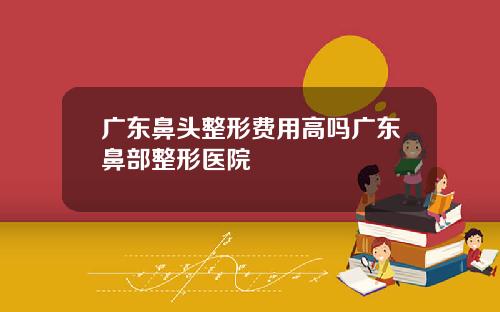 广东鼻头整形费用高吗广东鼻部整形医院