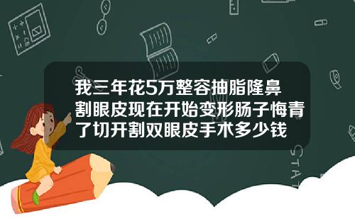 我三年花5万整容抽脂隆鼻割眼皮现在开始变形肠子悔青了切开割双眼皮手术多少钱