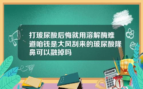 打玻尿酸后悔就用溶解酶难道咱钱是大风刮来的玻尿酸隆鼻可以融掉吗