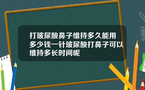 打玻尿酸鼻子维持多久能用多少钱一针玻尿酸打鼻子可以维持多长时间呢