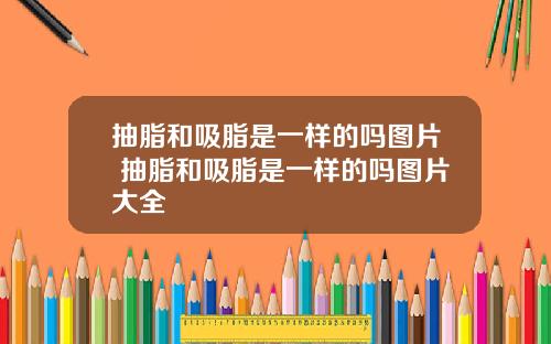 抽脂和吸脂是一样的吗图片 抽脂和吸脂是一样的吗图片大全