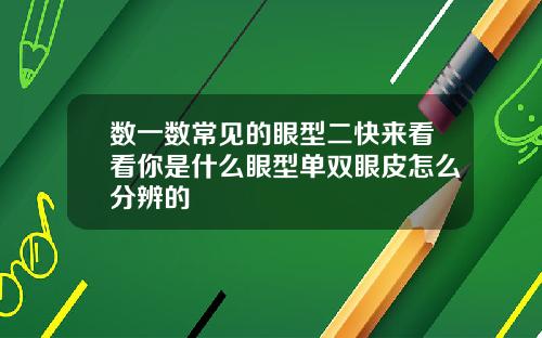 数一数常见的眼型二快来看看你是什么眼型单双眼皮怎么分辨的