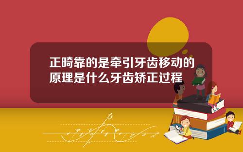 正畸靠的是牵引牙齿移动的原理是什么牙齿矫正过程