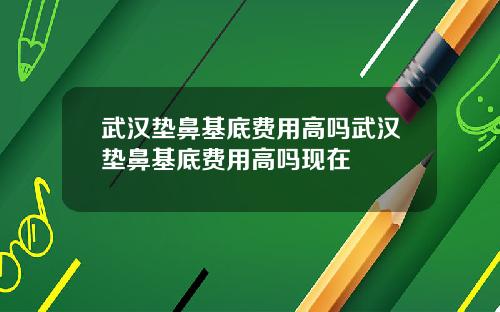 武汉垫鼻基底费用高吗武汉垫鼻基底费用高吗现在
