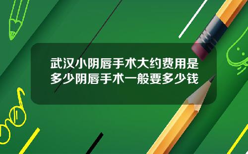 武汉小阴唇手术大约费用是多少阴唇手术一般要多少钱