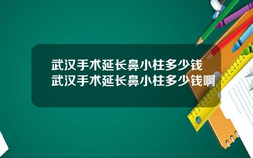 武汉手术延长鼻小柱多少钱武汉手术延长鼻小柱多少钱啊