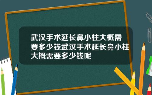 武汉手术延长鼻小柱大概需要多少钱武汉手术延长鼻小柱大概需要多少钱呢