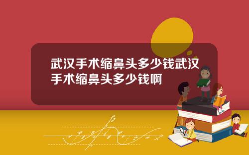 武汉手术缩鼻头多少钱武汉手术缩鼻头多少钱啊