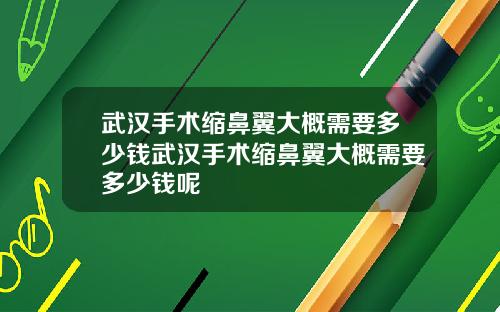 武汉手术缩鼻翼大概需要多少钱武汉手术缩鼻翼大概需要多少钱呢