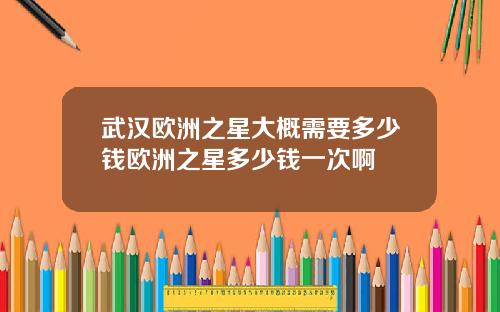 武汉欧洲之星大概需要多少钱欧洲之星多少钱一次啊