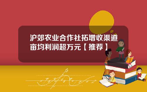 沪郊农业合作社拓增收渠道亩均利润超万元【推荐】