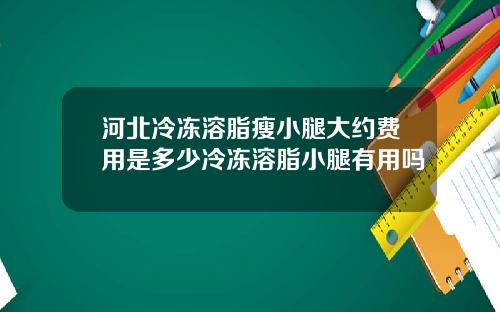 河北冷冻溶脂瘦小腿大约费用是多少冷冻溶脂小腿有用吗