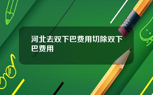 河北去双下巴费用切除双下巴费用
