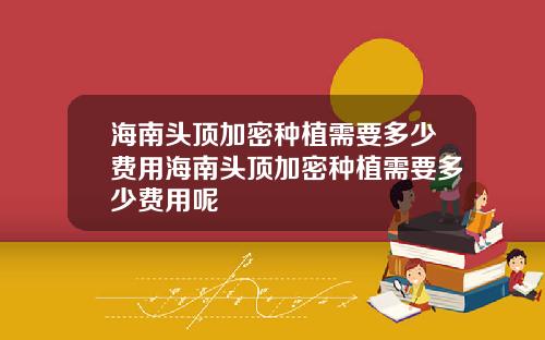 海南头顶加密种植需要多少费用海南头顶加密种植需要多少费用呢