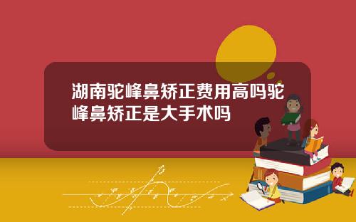 湖南驼峰鼻矫正费用高吗驼峰鼻矫正是大手术吗
