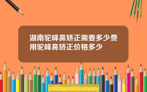 湖南驼峰鼻矫正需要多少费用驼峰鼻矫正价格多少
