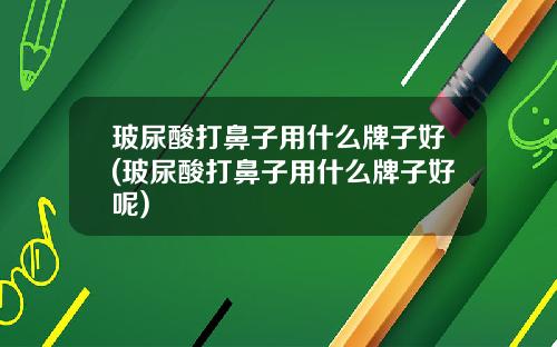 玻尿酸打鼻子用什么牌子好(玻尿酸打鼻子用什么牌子好呢)