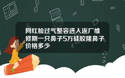 网红脸过气整容进入返厂维修期一只鼻子5万硅胶隆鼻子价格多少