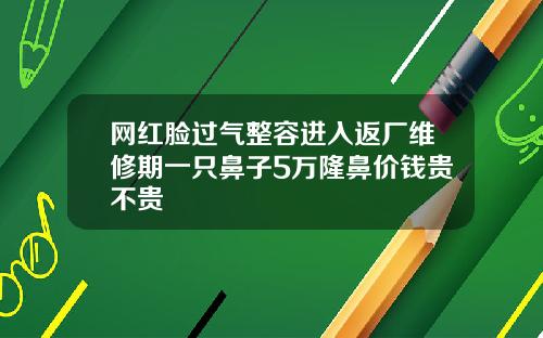 网红脸过气整容进入返厂维修期一只鼻子5万隆鼻价钱贵不贵