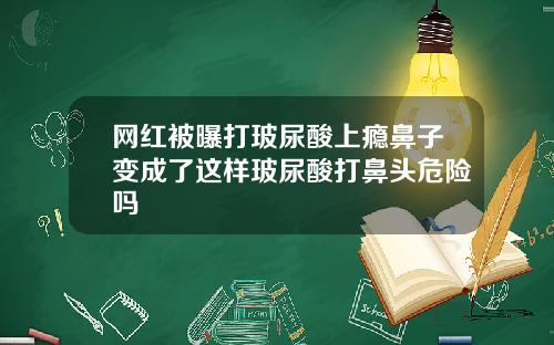网红被曝打玻尿酸上瘾鼻子变成了这样玻尿酸打鼻头危险吗