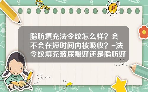 脂肪填充法令纹怎么样？会不会在短时间内被吸收？-法令纹填充玻尿酸好还是脂肪好