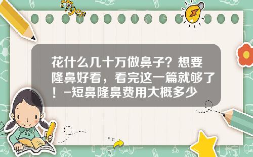 花什么几十万做鼻子？想要隆鼻好看，看完这一篇就够了！-短鼻隆鼻费用大概多少