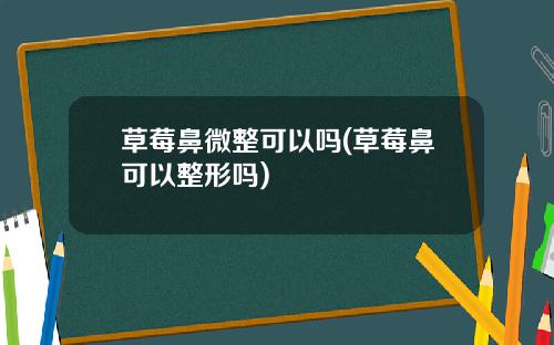 草莓鼻微整可以吗(草莓鼻可以整形吗)