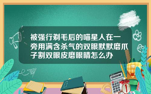 被强行剃毛后的喵星人在一旁用满含杀气的双眼默默磨爪子割双眼皮磨眼睛怎么办