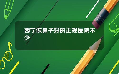西宁做鼻子好的正规医院不少