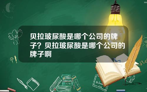 贝拉玻尿酸是哪个公司的牌子？贝拉玻尿酸是哪个公司的牌子啊