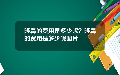 隆鼻的费用是多少呢？隆鼻的费用是多少呢图片
