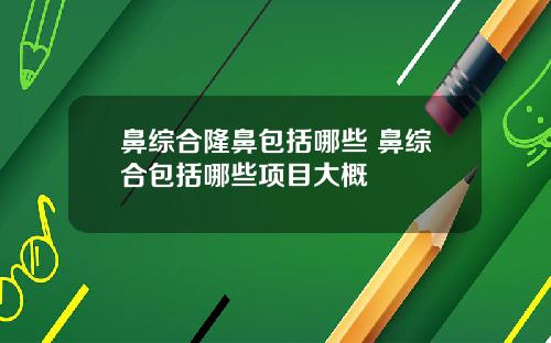 鼻综合隆鼻包括哪些 鼻综合包括哪些项目大概